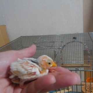 ありがとうございました！