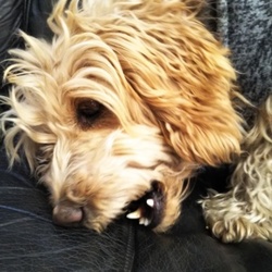 売上に付きまして