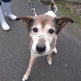 【感謝】繋がります！あまあまばばちゃまチヨちゃん。