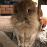 ぼ〜や