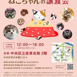 ねこざんまい譲渡会@東日本橋