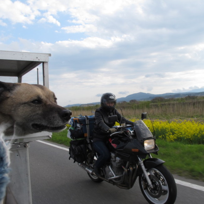 とらじろうの父のカバー写真