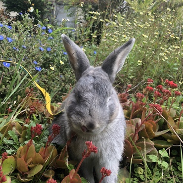 真正面撮れたけど、目が見えないよ…？