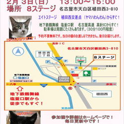 天白区植田８ステージ　　サクラねこ名古屋　譲渡会 (=^・^=) サムネイル1