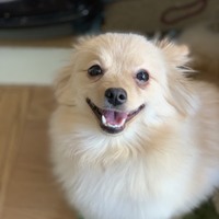 マロン