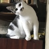 風呂から上がるまでこうやって待ってます