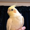 今年で7歳になるお姉ちゃんです♪