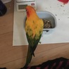 よくうめちゃんのおやつを盗んでました笑