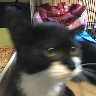 沢山のご応募ありがとうございました