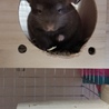 もこ79