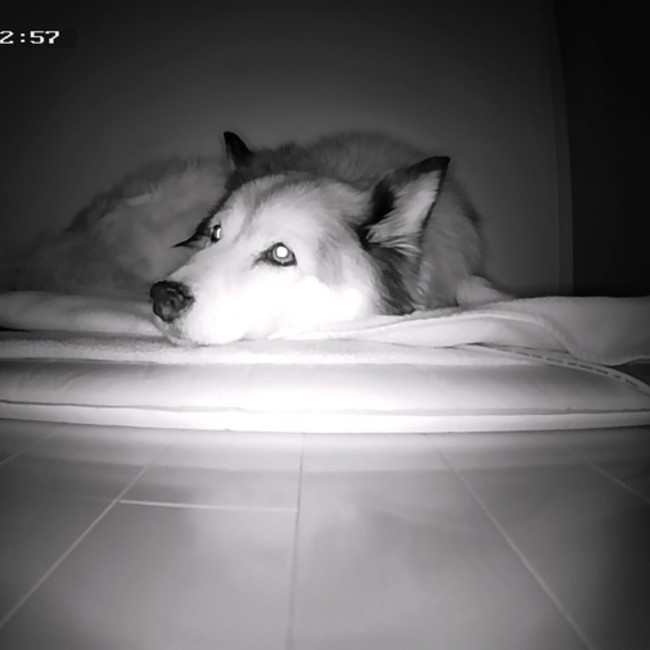 shizumasaのカバー写真