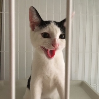 きっといいご縁がある！と焦らず待ち続けています