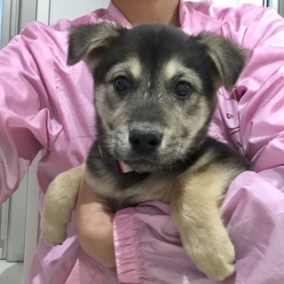 ３ヶ月の男の子