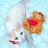 の写真