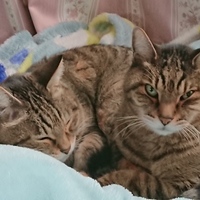 アレキとルビー