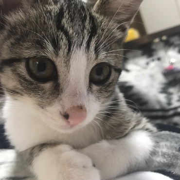 名前はハルちゃんです(≧∇≦*)