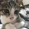 名前はハルちゃんです(≧∇≦*)