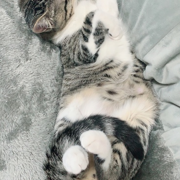の写真