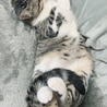 の写真