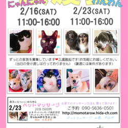 わんわん譲渡会★in岐阜市
