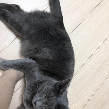 あれ？半目？(   ͡ㅇ ͜ʖ ͡ㅇ)