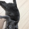 あれ？半目？(   ͡ㅇ ͜ʖ ͡ㅇ)