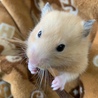 枝おいち( *˘ ³˘)♡♡♡