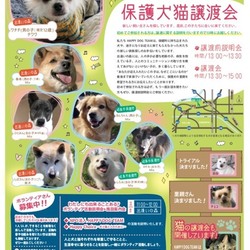 保護犬猫譲渡会