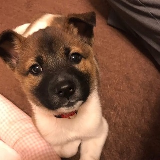 ハートちゃん♡