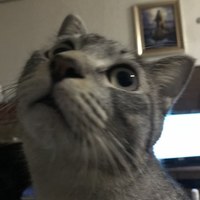 こじろー