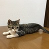 5か月