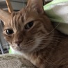 冬は布団の中で一緒