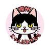 遠州にゃんぼあそるち(保護活動者)