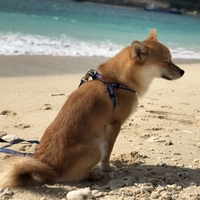 和