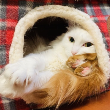 父娘仲良し。変わらず元気で〜す。