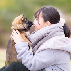 動物保護団体わんらぶ保護っ子写真展