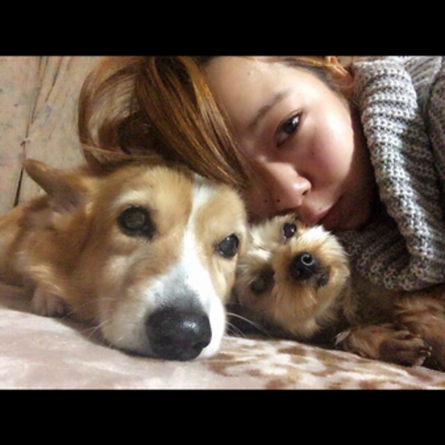 ウメキのカバー写真