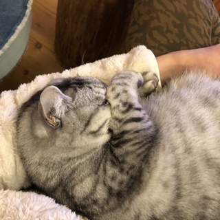 一旦募集停止します