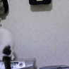の写真