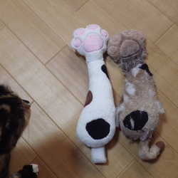 さらの 蹴りぐるみ 