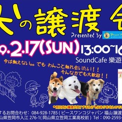 いぬの譲渡会in岡山県笠岡市