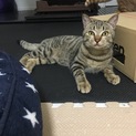 随分と人馴れしてきました！