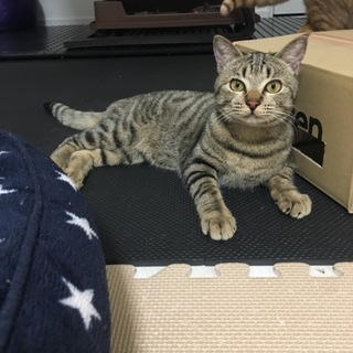 随分と人馴れしてきました！