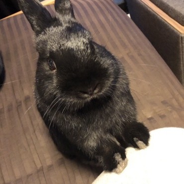 久し振りに投稿します。