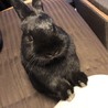 久し振りに投稿します。