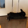 破壊活動が終わった後のひと時