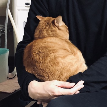 虎之助の写真