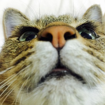 の写真