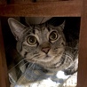 の写真
