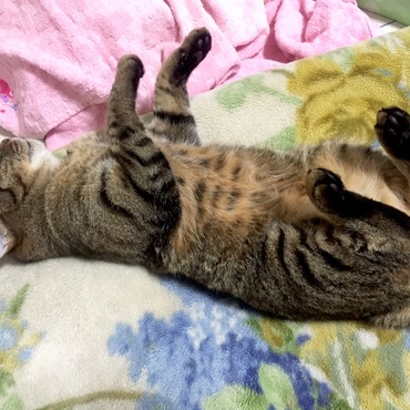 の写真